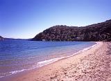 Beautiful Palm Beach in Australia. Captured with Light Blue Sky Background. A Perfect Venue for Vacation.