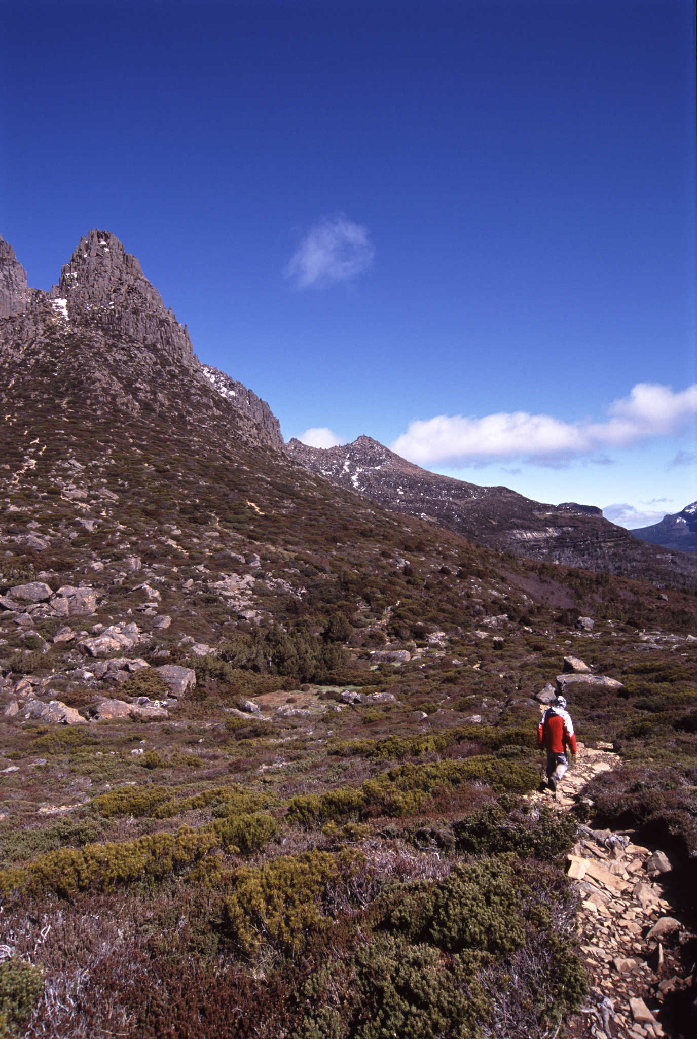 an image of Tourist Exploring at Famous Mount Ossa, the Highest Mountain in Tasmania, Under Blue Sky. It lies in the heart of Cradle Mountain-Lake St Clair National Park.