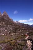 Tourist Exploring at Famous Mount Ossa, the Highest Mountain in Tasmania, Under Blue Sky. It lies in the heart of Cradle Mountain-Lake St Clair National Park.