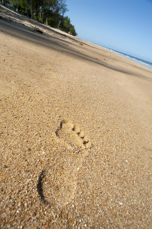 foot prints on the sand walking along a tropical beaches lined with palm trees