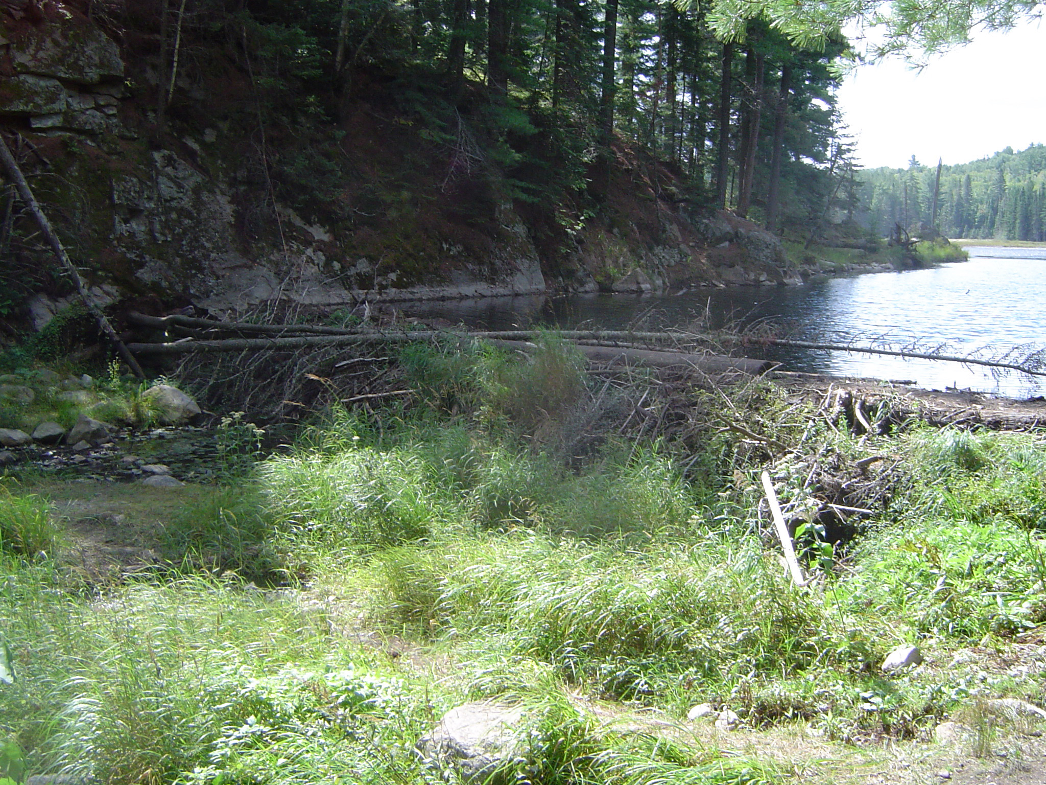 an image of Beaver Dam on Lake in Algonquin Provincial Park, Ontario, Canada