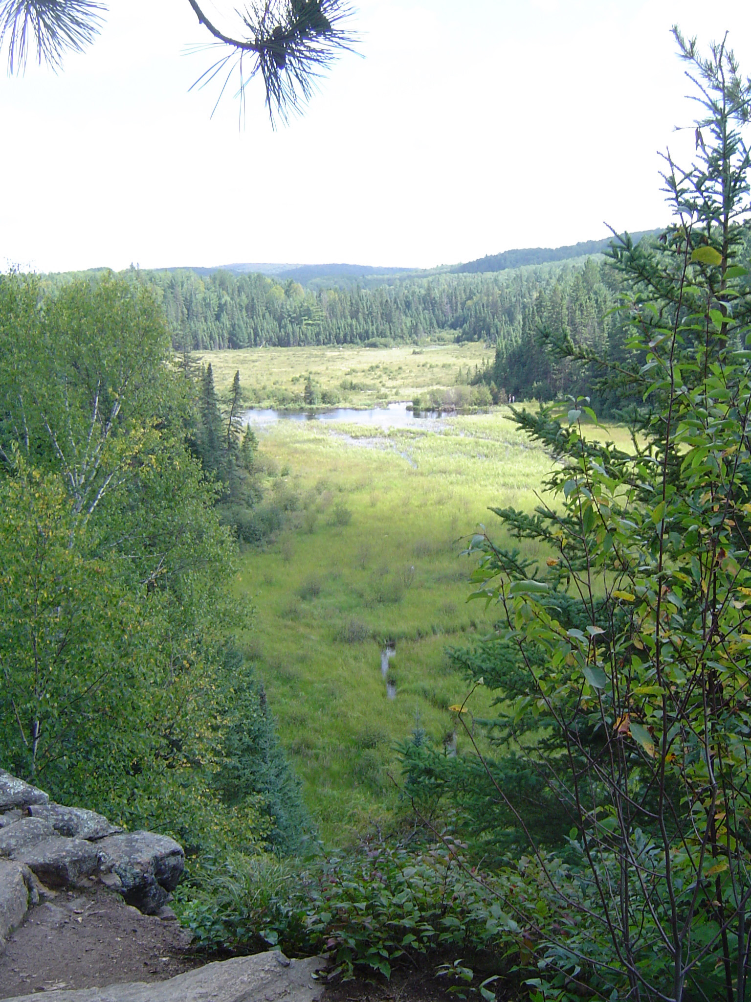an image of Scenic view of the Algonquin Provincial Park in Canada showing one of the over 1200 lakes to be found there in a forested valley