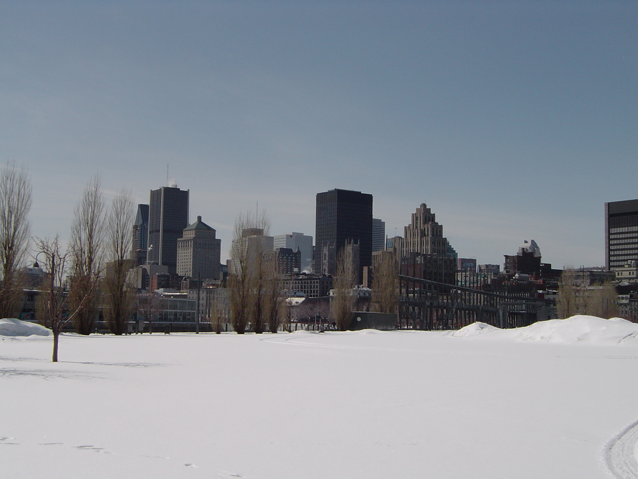 an image of Montreal City Skyline in Winter as seen from Snow Covered Park