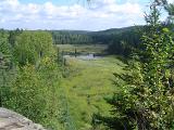 Overview of Wetland Area in Algonquin Park, Ontario, Canada
