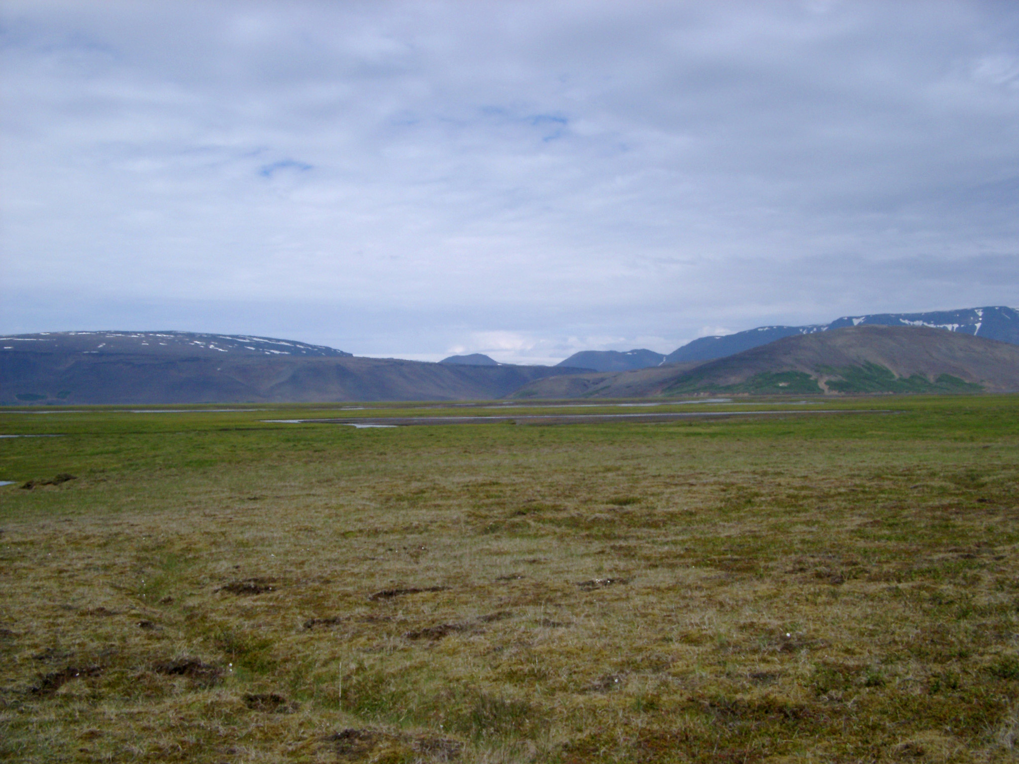 an image of Scenic of Empty Field with Mountains and Overcast Sky in Iceland