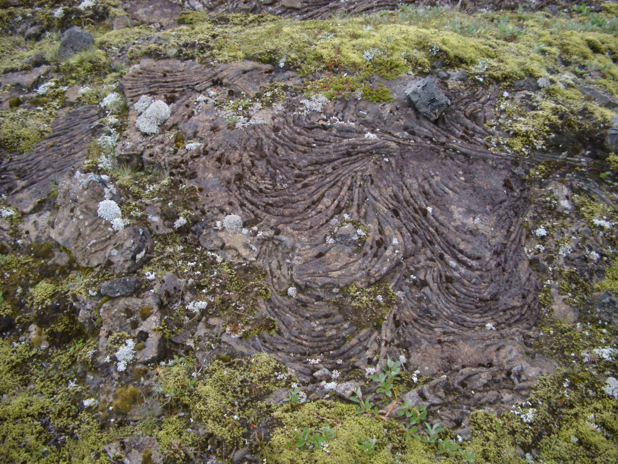 an image of Detail of Volcanic Rock Formation on Ground in Iceland