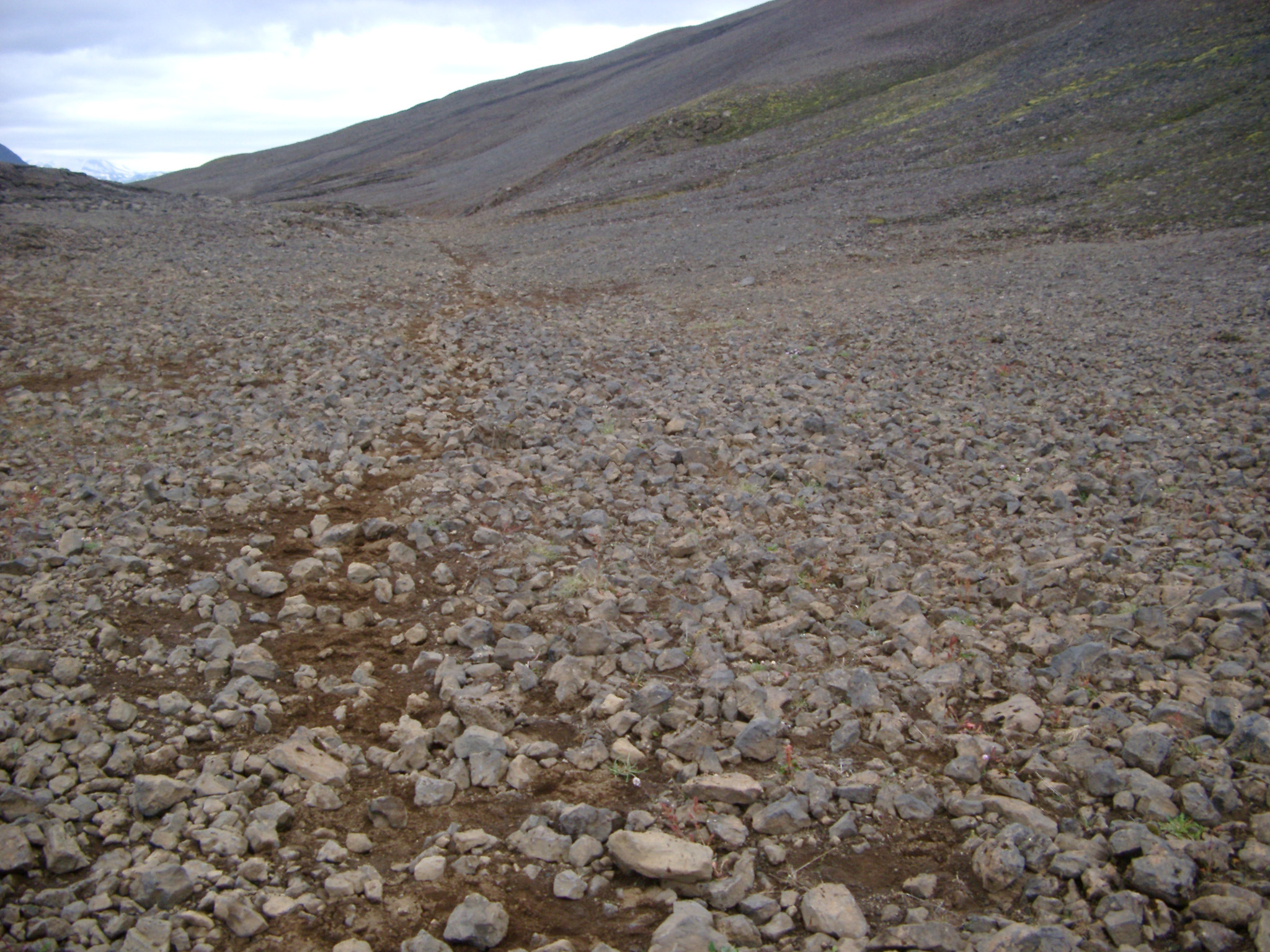 an image of Path Through Rocky Iceland Terrain in Mountainous Area