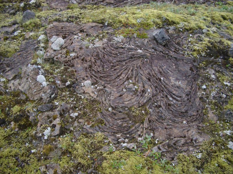 Detail of Volcanic Rock Formation on Ground in Iceland