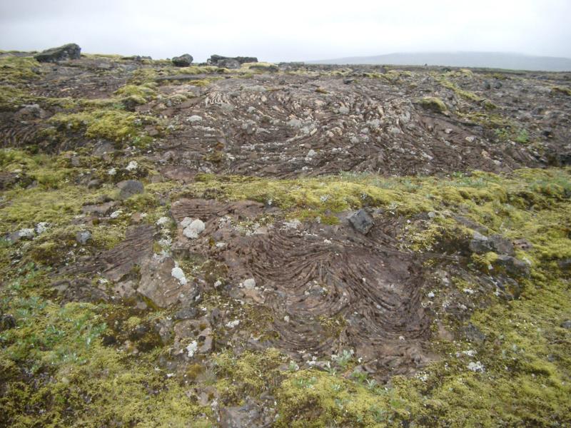 Volcanic igneous rock and solidified lava on the lowland plains in Iceland, close up view in a barren landscape
