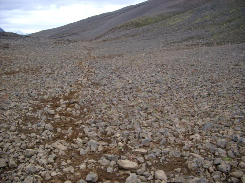 Path Through Rocky Iceland Terrain in Mountainous Area