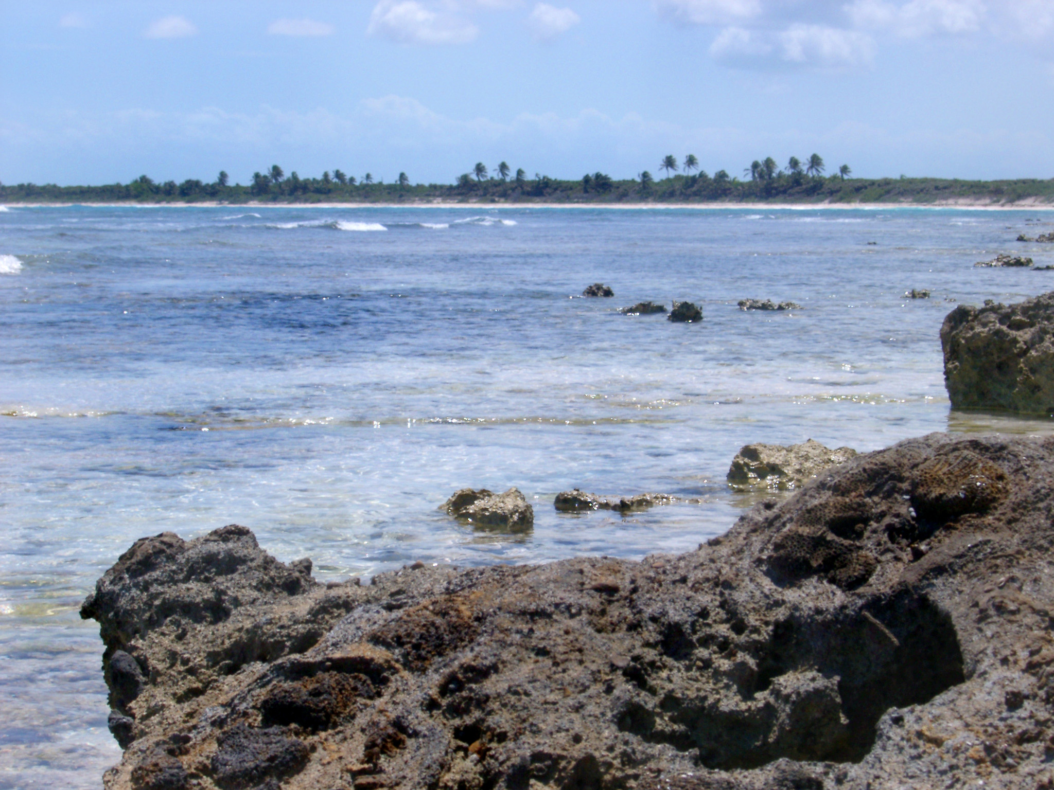 an image of View of a tropical Mexican beach with golden sand and palm trees across a calm sea from a rocky shoreline