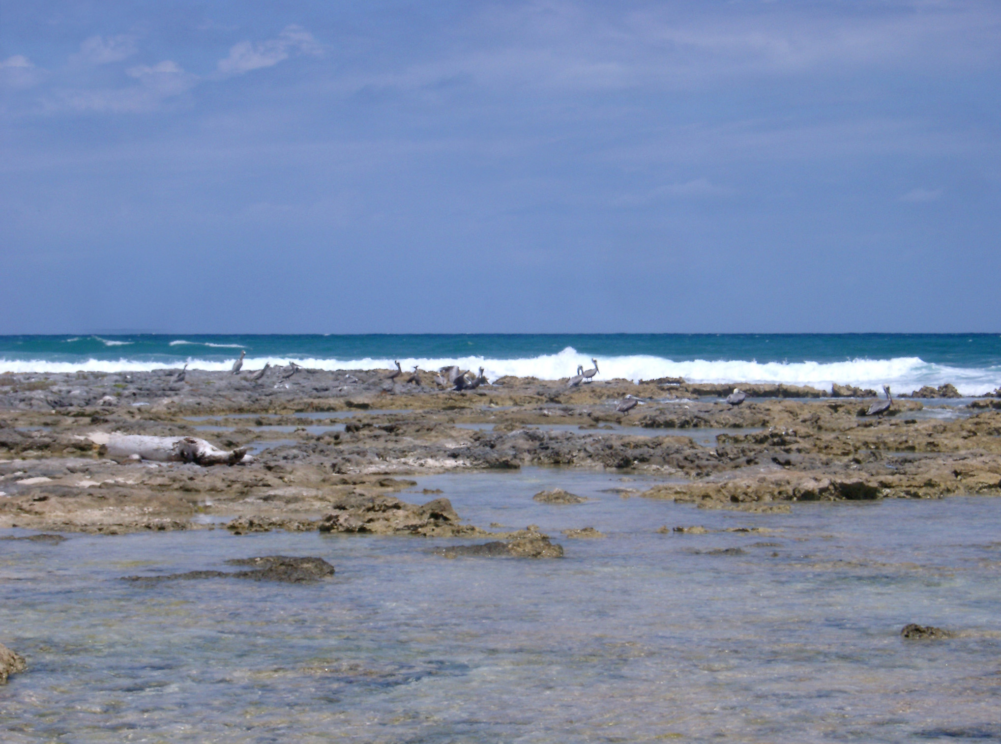 an image of Waves breaking on a rocky reef in Mexico with a turquoise blue ocean stretching to the horizon, marine or nautical background