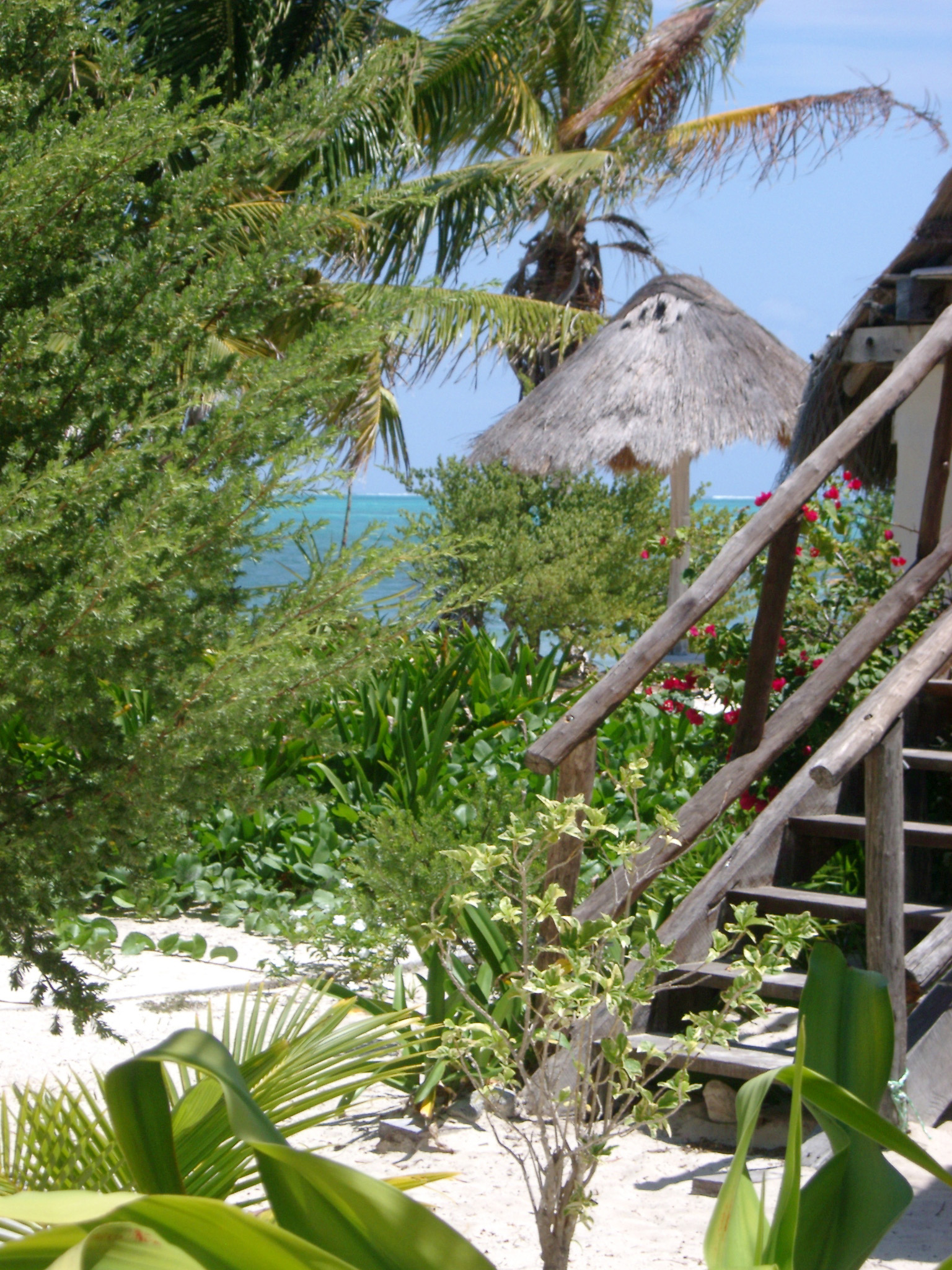 an image of Flight of wooden steps leading up to a beachfront cabana in Mexico with tropical palm trees and a thatched roof