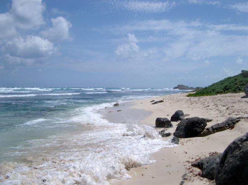 Sunny tropical Mexican beach with a calm ocean lapping golden sands with scattered rocks, symbolic, of travel and vacations