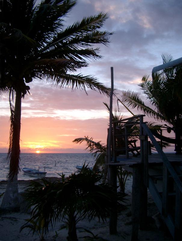 Palm trees silhouetted against a colorful pink Mexican sunset over the ocean symbolic of travel and tropical summer vacations