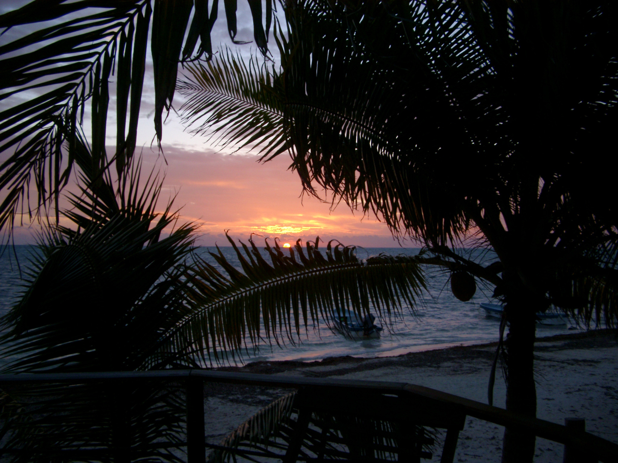 an image of Coconut palms silhouetted against a colorful sunset over a tropical beach and calm ocean on the Mexican coastline, symbolic of travel and summer vacations