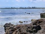 View of a tropical Mexican beach with golden sand and palm trees across a calm sea from a rocky shoreline