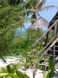 Flight of wooden steps leading up to a beachfront cabana in Mexico with tropical palm trees and a thatched roof
