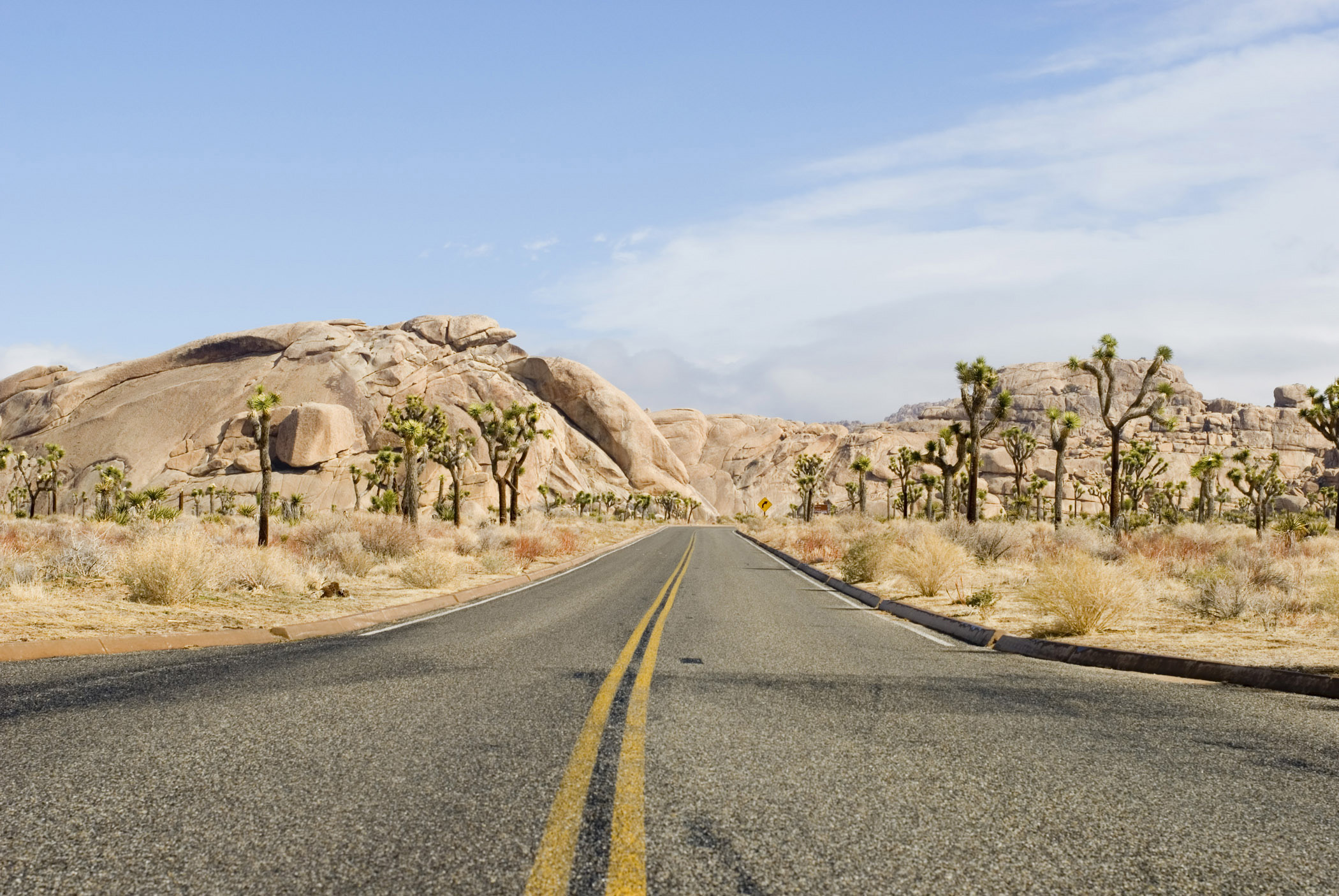 an image of Road Through Desert Landscape, Joshua Tree National Park, California, USA