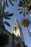 Architectural Tall Building Structure at Balboa Park San Diego. Surrounded by Tall Coconut Trees. Captured from Low Angle Point. Isolated on Light Blue Sky background.