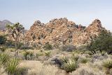 Mountainous arid landscape in Joshua Tree National Park in south eastern California with its dessert ecosystems