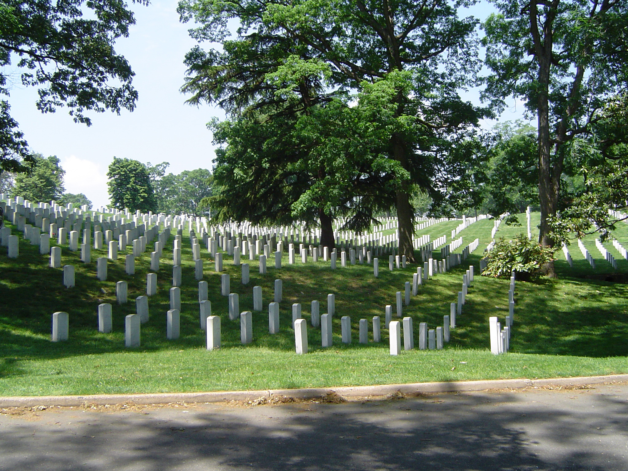 an image of Graves at Grassy Arlington national Cemetery with Tall Green Trees. Isolated on Lighter Blue Sky Background.