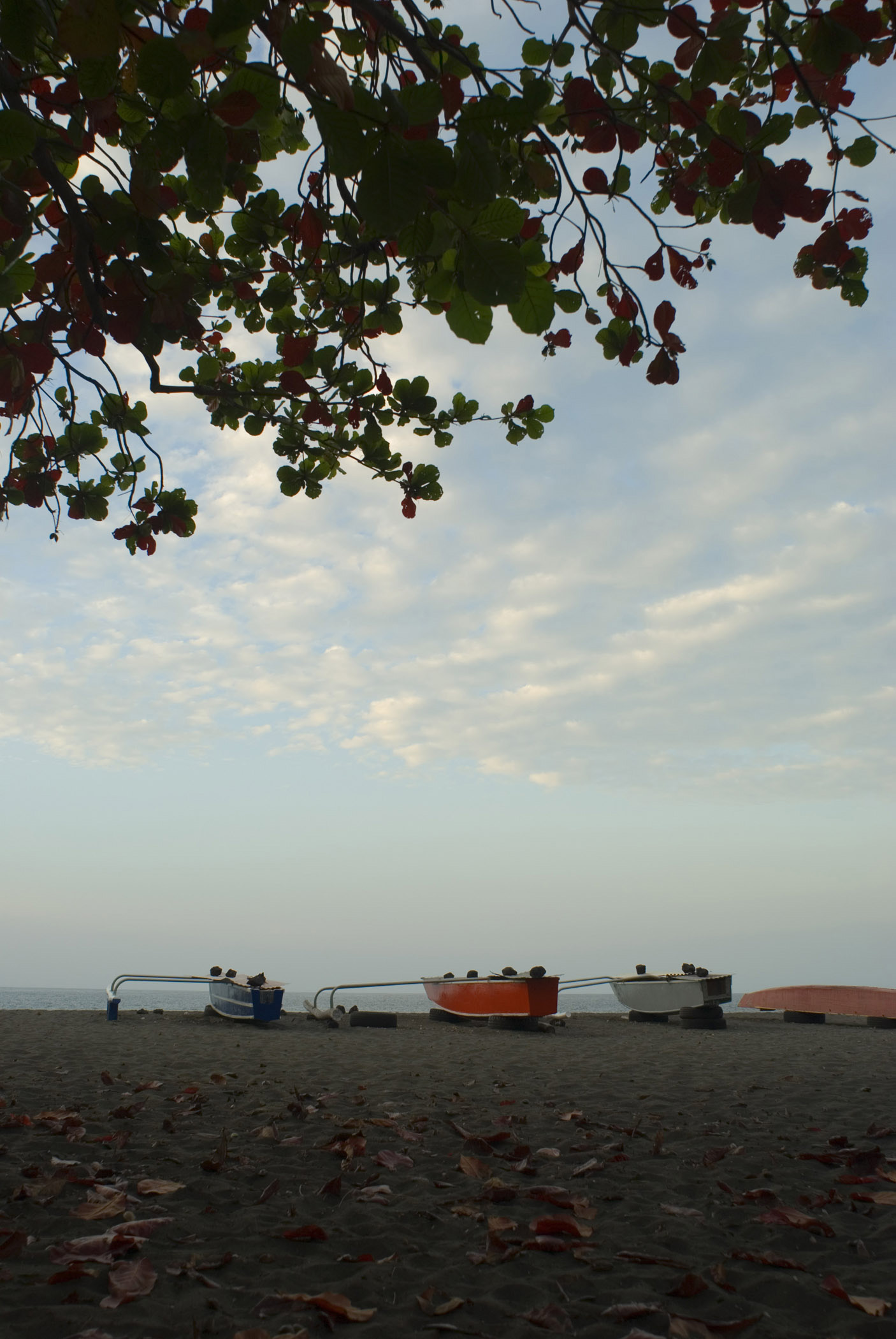 an image of Outrigger Canoes Lined Up on Deserted Beach