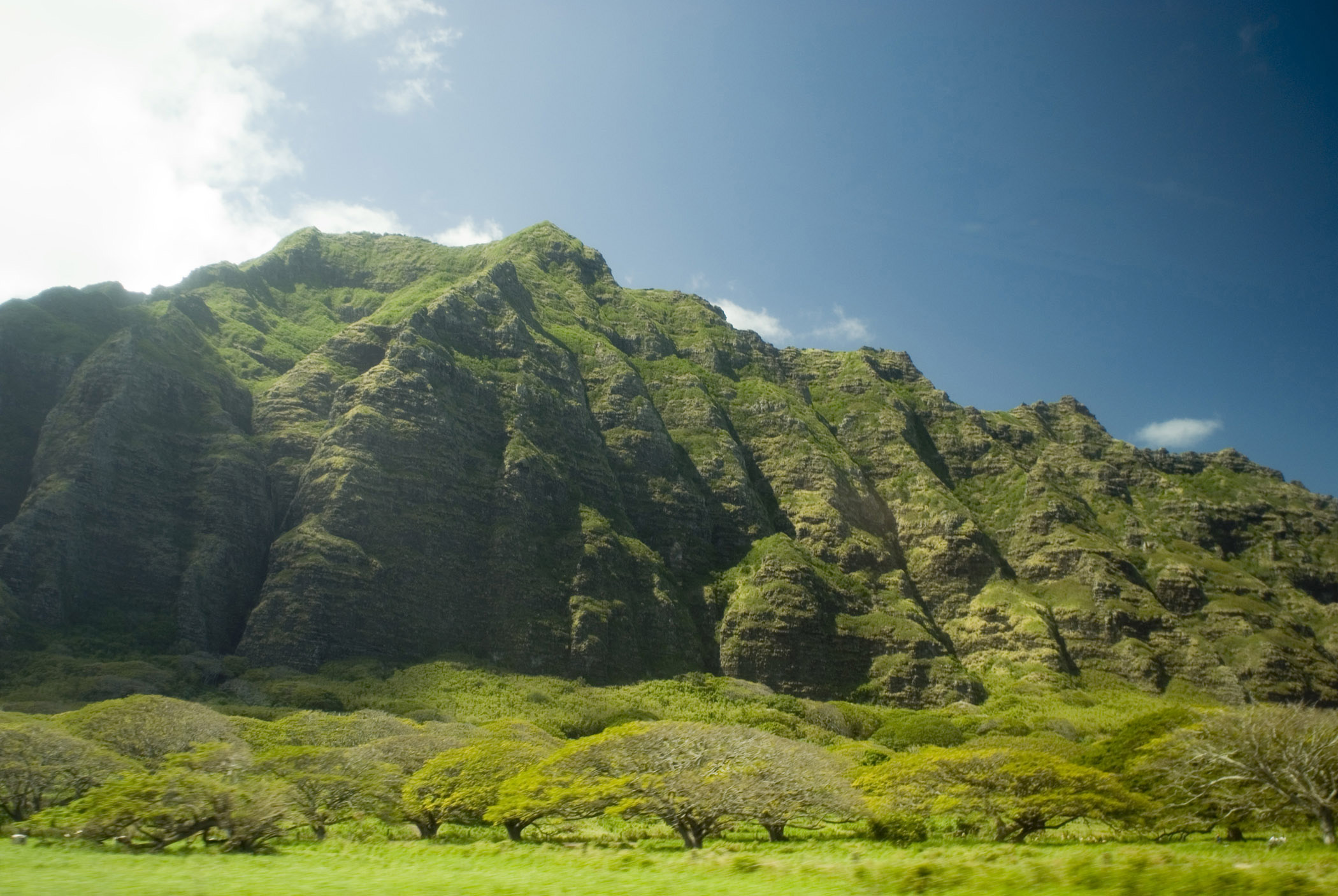 an image of Close up Beautiful Green Koolau Mountain Range. Isolated on Light Blue Sky Background.