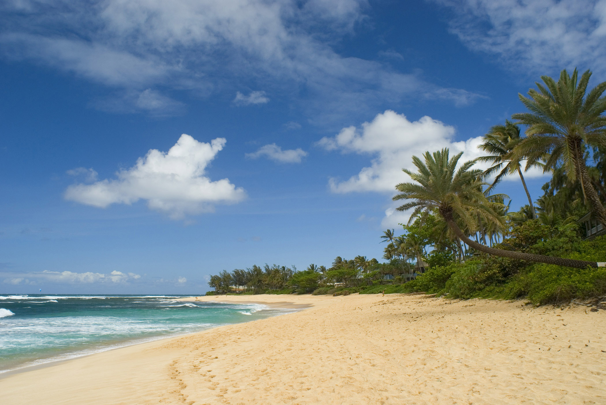 an image of Deserted Paradise, Sunset Beach with Blue Sky, Sand, and Palm Trees in Hawaii