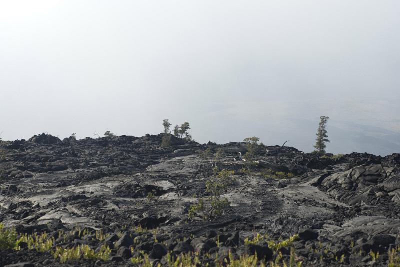 Volcanic Lava Field with Hardened Lava, Hawaii