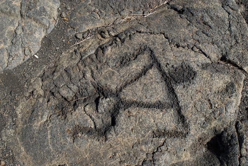 Puu Loa Petroglyphs detail showing the traditional rudimentary carvings in the igneous rock of the solidified lava, Hawaii