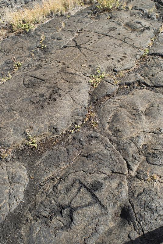 Details of the rocks at the Puu Loa Petroglyphs in Aerial View