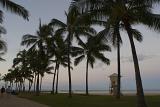 Tall Palms Trees Along the Street at Honolulu During Sunset. Captured with Tourists Walking on the Street.