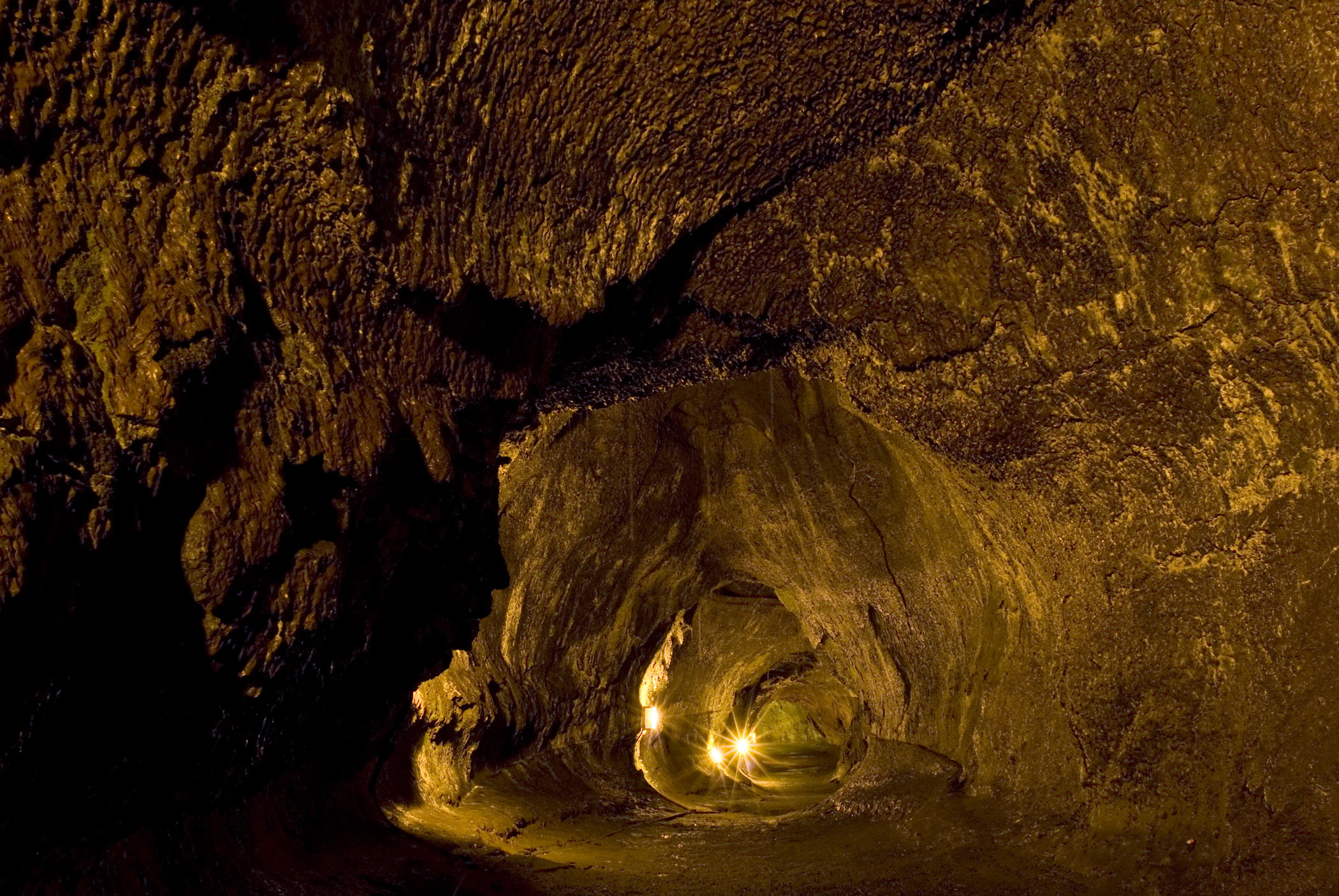 an image of Inside Illuminated Thurston Lava Tube in Hawaii Volcanoes National Park