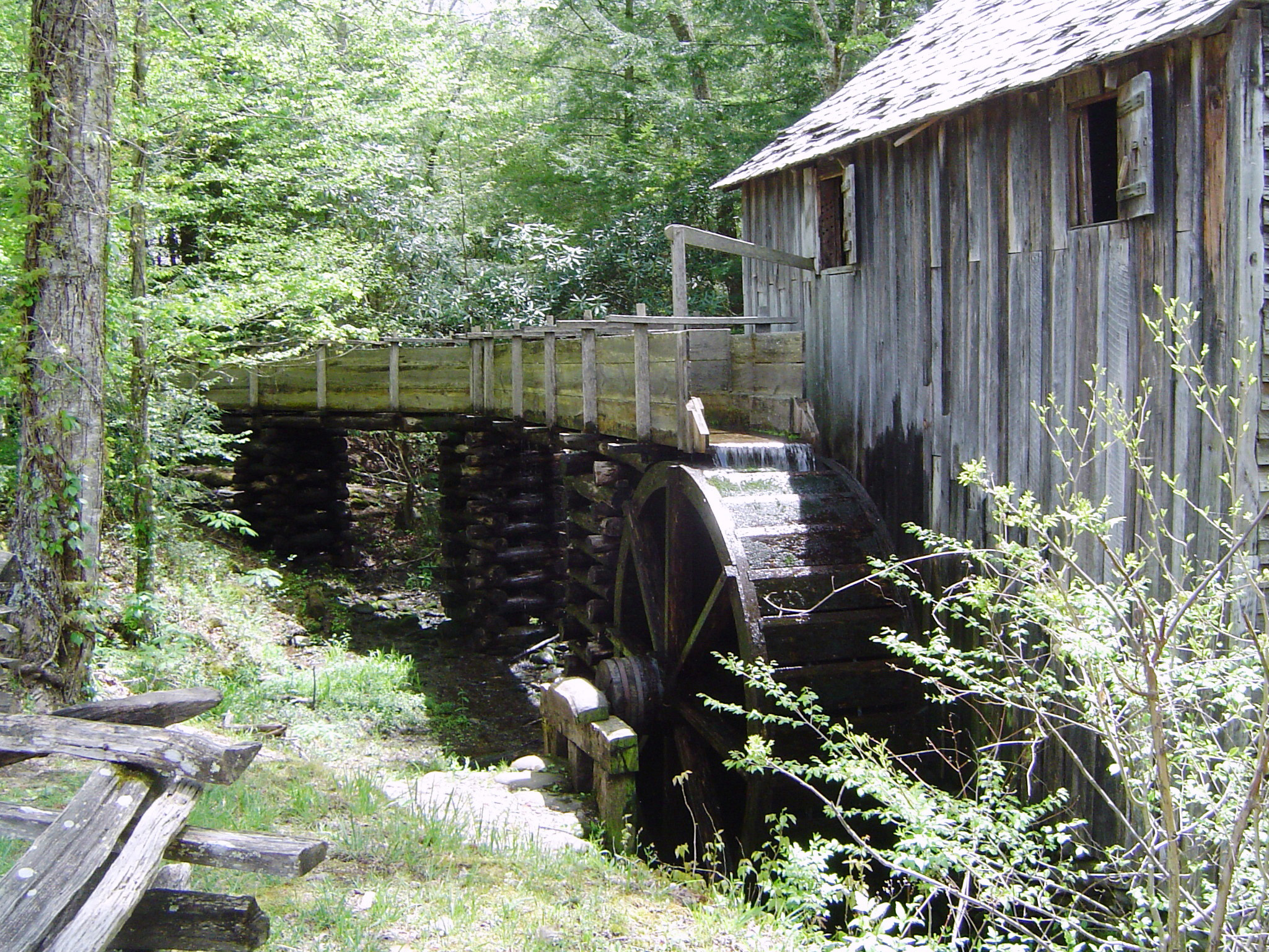 an image of Old Vintage Mill on Grassy Land Surrounded by Green Trees and Plants