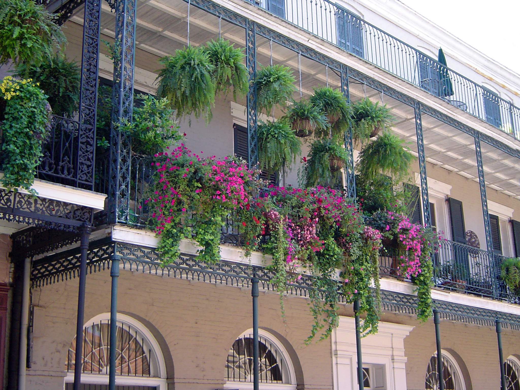 an image of Architectural Building with Outdoor Floral Decorations at New Orleans