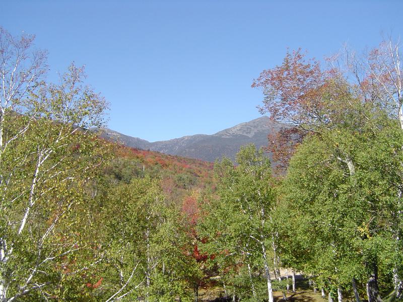 Beautiful Green Trees and Huge Mountains Portrait. Isolated on Light Blue Sky Background.