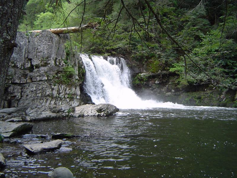 Beautiful US Natural Waterfall with Big Rocks. Surrounded by Green Grasses, Plants and Trees.