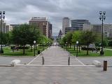 Green Trees Along Pathway at Beautiful City View of Texas with Huge Buildings Afar. Isolated on Light Gray Sky Background.