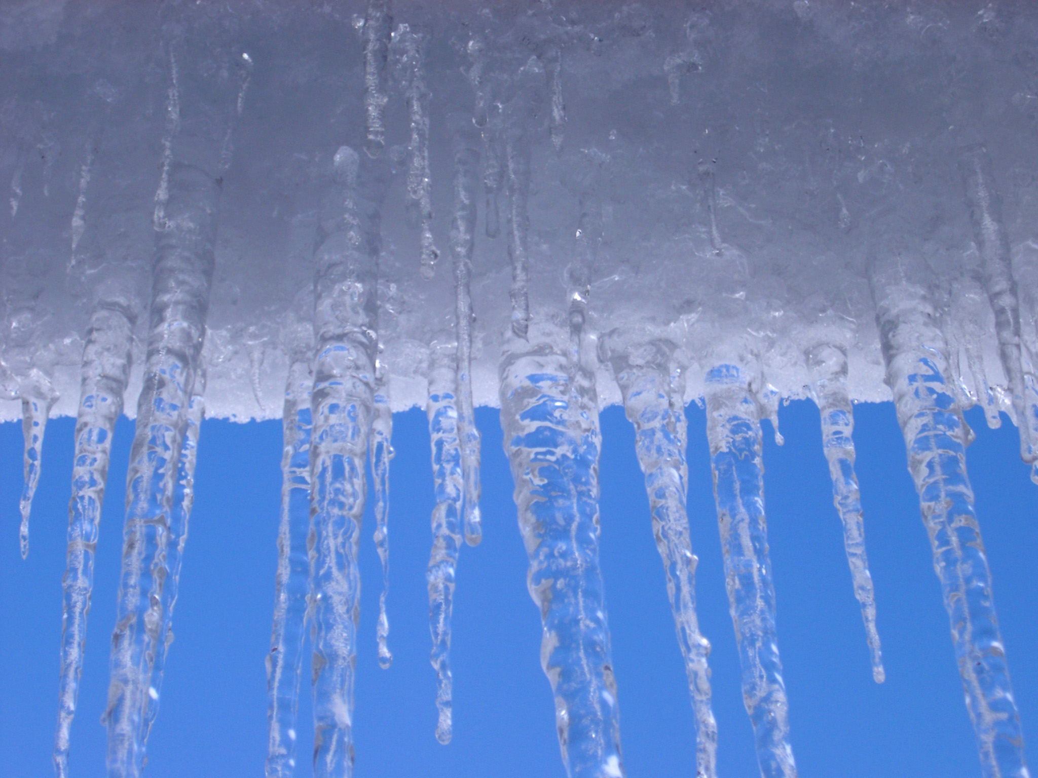 an image of Close up Snow and Icicles on Light Blue Sky Background During Winter Season.