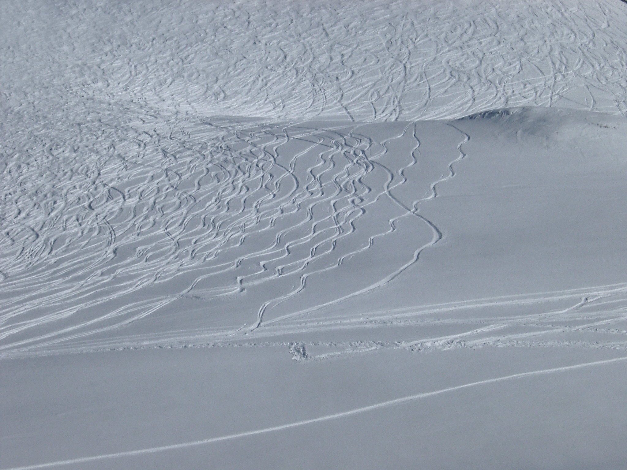 an image of Fresh Snow on the Field During Winter Season in Aerial Extensive View