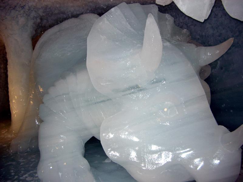 Close up Man Made Ice Rhinoceros Animal Sculpture Display Inside the Cave During Winter Holiday Season.