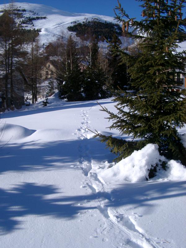 Tracks through the snow on a mountain leading between evergreen fir trees in a pretty winter landscape