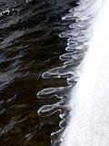 Close up Melting Ice on Water During Winter Holiday Season